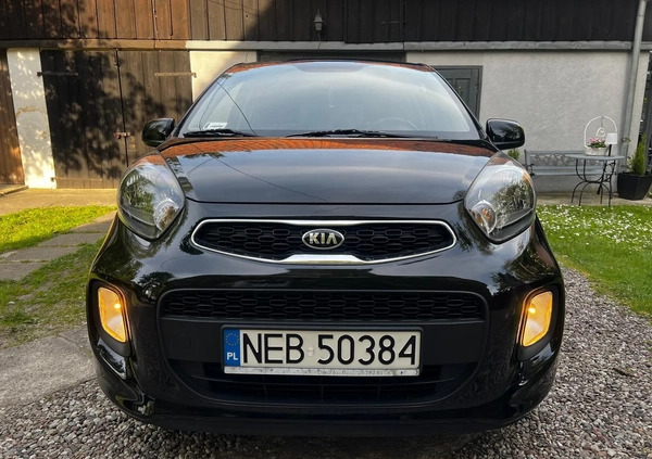 Kia Picanto cena 29900 przebieg: 56600, rok produkcji 2015 z Pasłęk małe 137